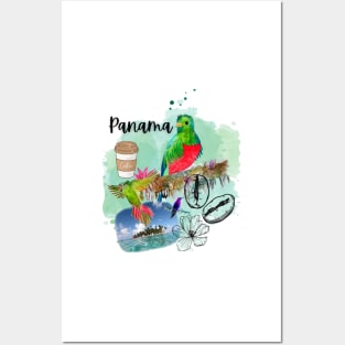 Panama Coffee Birds Beach Posters and Art